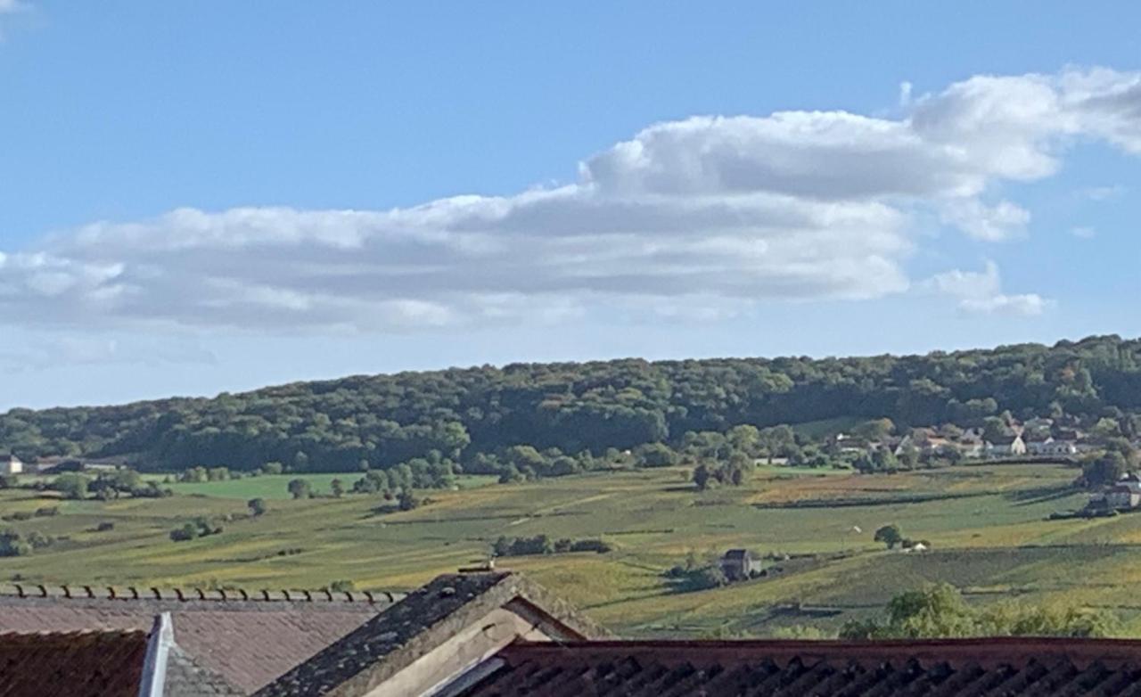 Le Claugi Villa Damery  Eksteriør bilde